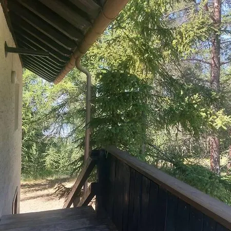 Il Nido Nel Bosco