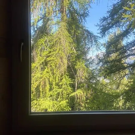 Il Nido Nel Bosco ホテル ピーラ