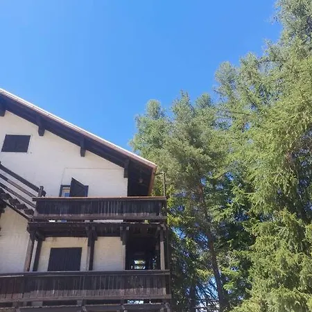 Il Nido Nel Bosco *