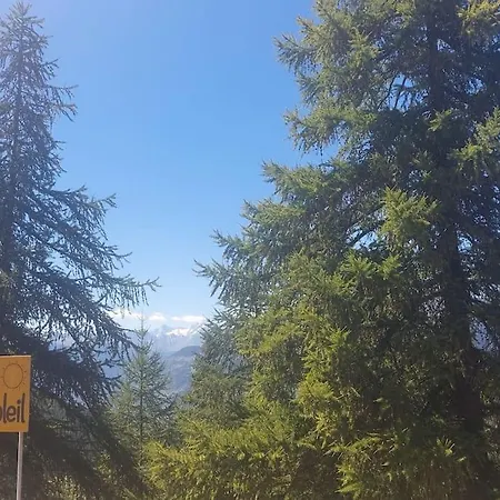Il Nido Nel Bosco Apartment *