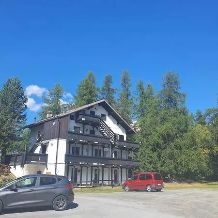 Il Nido Nel Bosco *